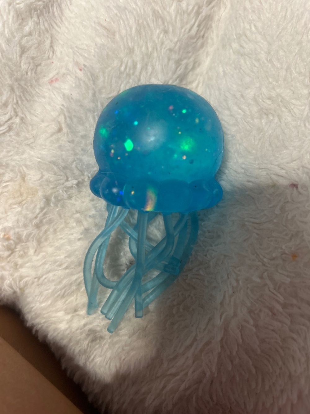 Needho jellyfish